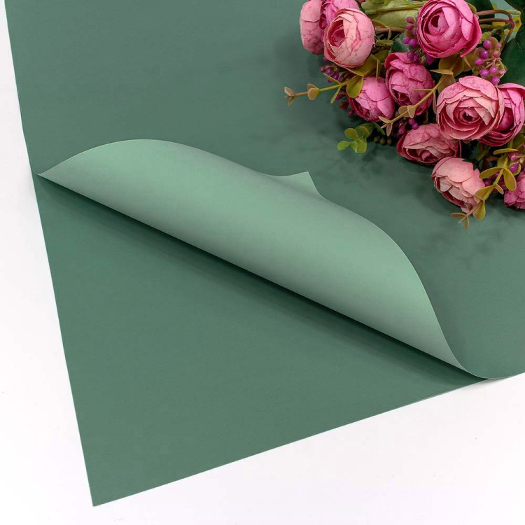 1631/556	Плёнка в листах 55*55 (20 шт.) матовая двухсторонняя 65мкм Синевато-зелёный/Бледно-зелёный 1/60